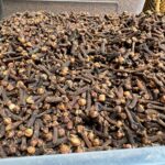 cloves